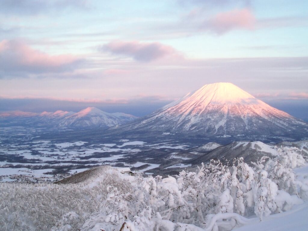 Tonichi Travel 東日旅遊