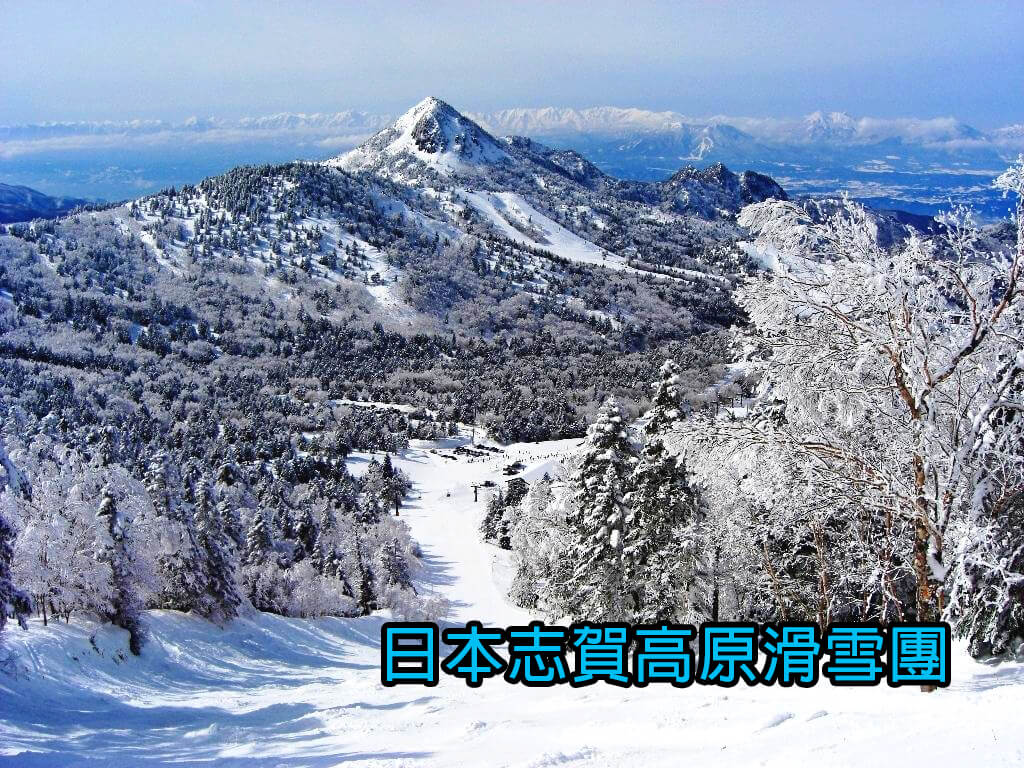 Tonichi Travel 東日旅遊