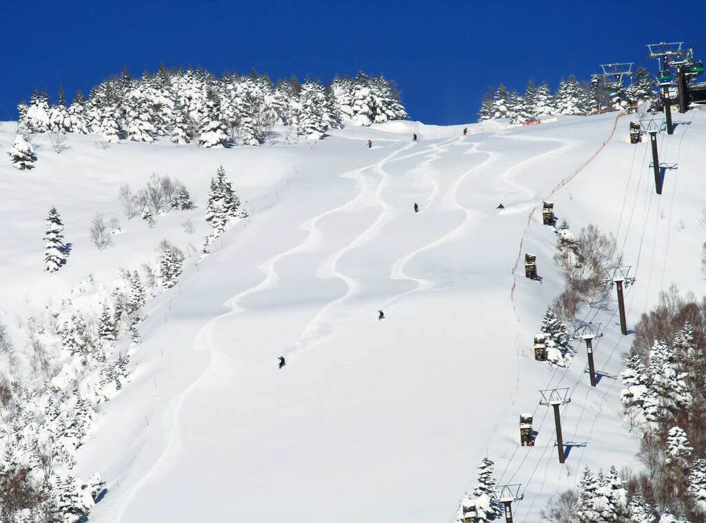 Tonichi Travel 東日旅遊